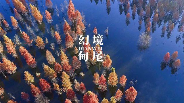 冷知识分享平台-柳州男子网购电动车发现不对劲,接下来发生的事情大快人心!发生了什么?,发现更多有趣的冷知识