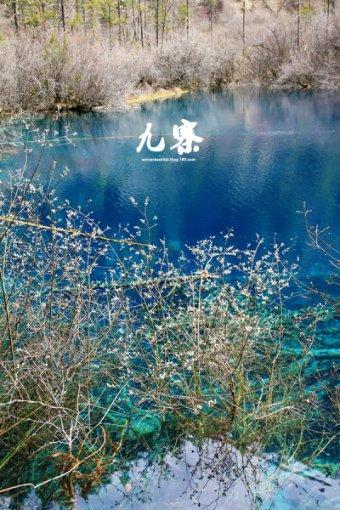 一个长方形的周长是36厘米,长是宽的2倍,这个长方形的面积是多少厘米?(求算数过程)知识星球平台,共享精品知识