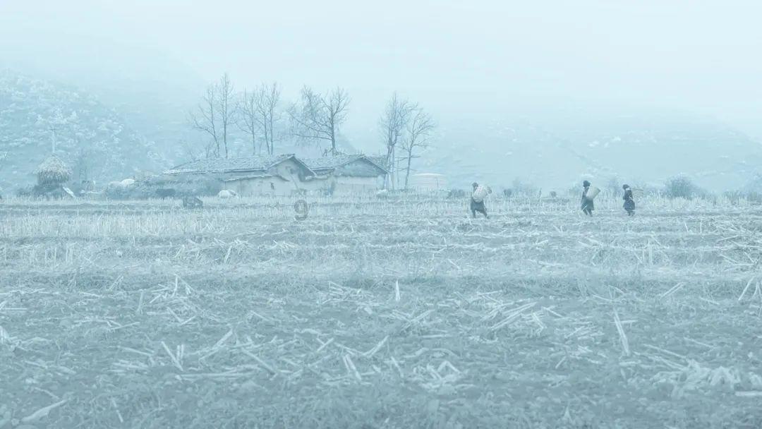 钟离之战为何会爆发及结果?——助你一站式获取最新资讯与热门话题