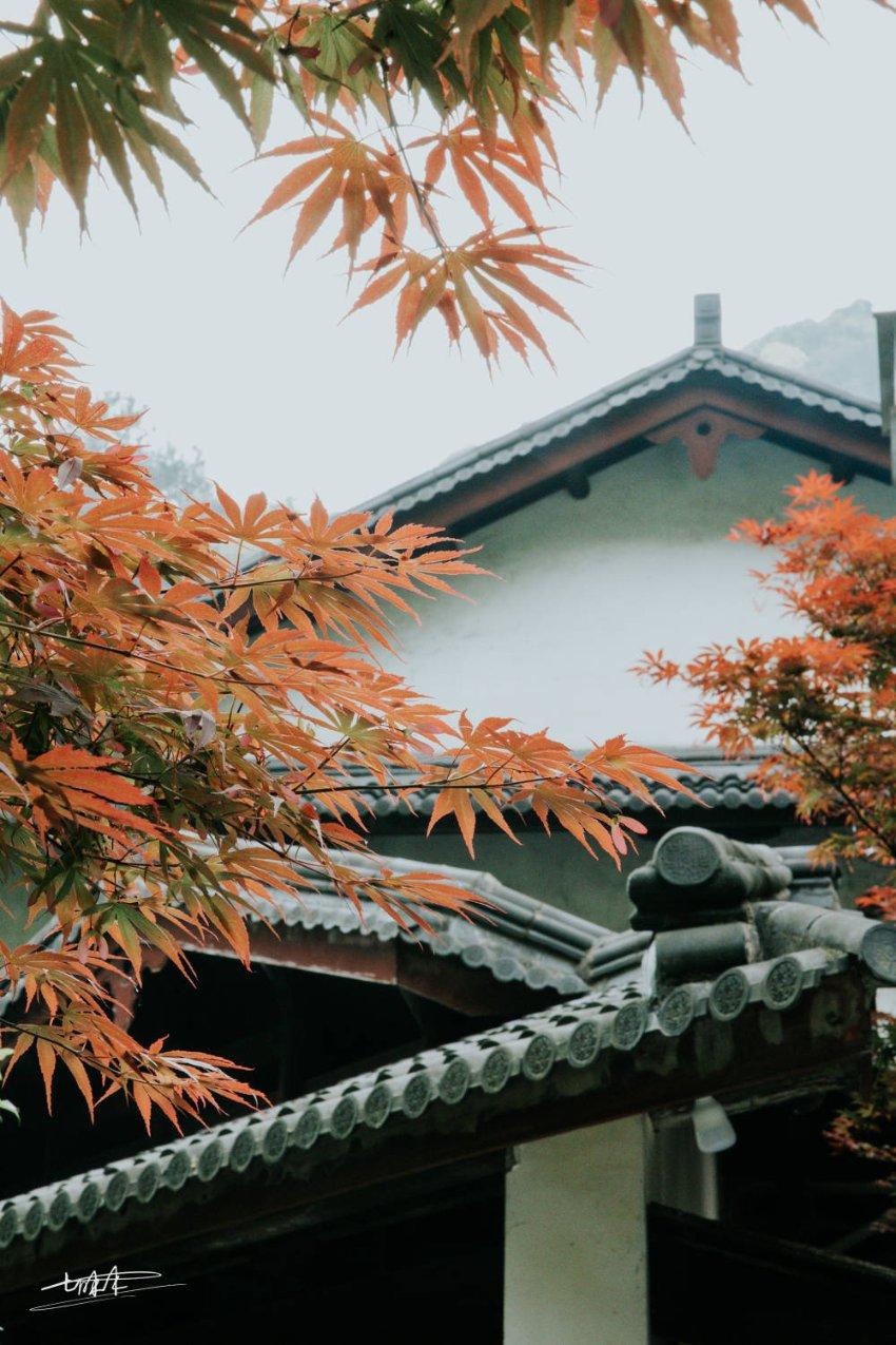 探索端午节应该说“端午节安康”而不应该说“端午节快乐”吗?或者说前者更恰当吗。,解锁知识星球的奇妙世界