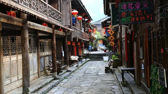 春雨直播app